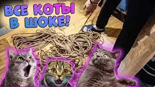 Когтеточка для Кошек своими руками из ХЛАМА | Намотали 150 метров ДЖУТОВОЙ ВЕРЁВКИ на когтеточку!