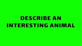 IELTS Speaking _ Describe an interesting animal