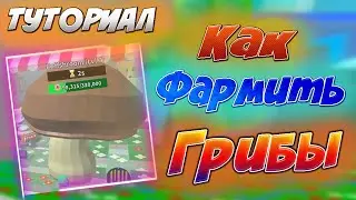 🍄 Как Фармить Грибы Что Дают Грибы в Симулятор Пчеловода! | Все Про Грибы Бсс | Bee Swarm Simulator!