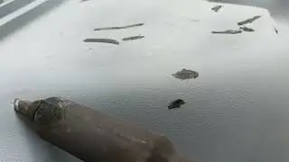 Восстановление Пластика...
