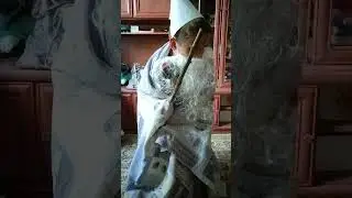 Гном