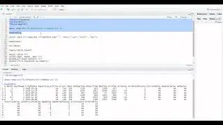 Data Format in R