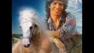 CAMARON****LA VARA DE LOS CHALANES☾✡
