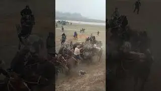 komediya, rolik, media,