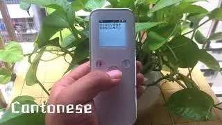 Multi language translation video English version