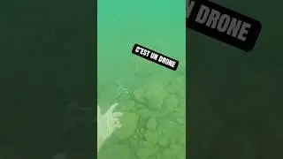 How would you find its owner? 