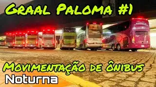 Graal Paloma #1 | Movimentação de Ônibus | Viação Garcia  e Catarinense dominando a PARADA