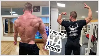 КАК СДЕЛАТЬ ЕЛОЧКУ НА СПИНЕ | ТРЕНИРОВКА ВЕРХА И СПИНЫ