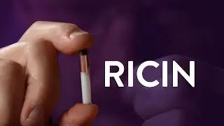 How Ricin Works