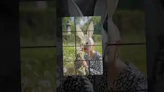 Новые шаблоны уже на канале. Ссылка в описании #монтажнателефоне #идеи