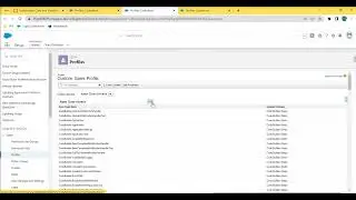 Enable Apex Class and Visualforce Page Access 