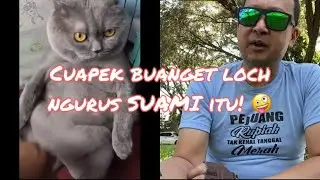 Capek banget NGURUS SUAMI! 😄✌️🇮🇩