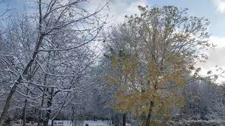 Первый снег. На следующий день - 29 октября 2019 года, С-Петербург
