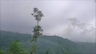 Wonosobo