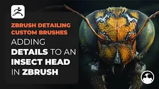 Detailing an Insect Head in ZBrush with Custom Brushes
