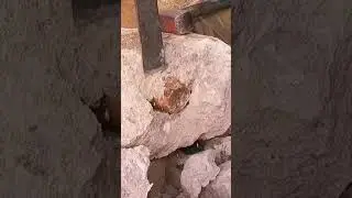 Mysterious Treasure Finding Moment treasure hunter