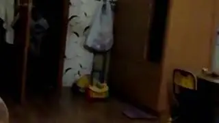 1 февраля 2019 г.