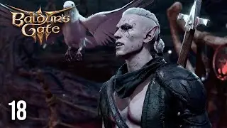 Grumpypants and the Angry Bird || Baldur's Gate 3 #18