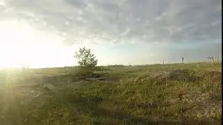 Свой Юг. Север. Белое море. Лето.