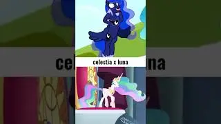 My little pony : friend in mlp