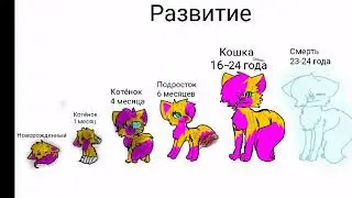 Как я расла