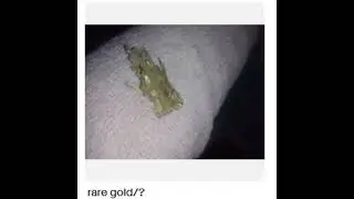 rare gold/?