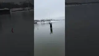 Соревнования по нахлыстовому рыболовному кастингу