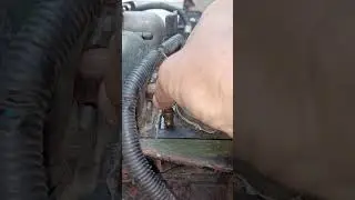 temperature  switch  remove  from engine