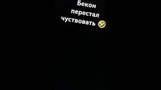 #хома  #топ бекон перестал чуствовать