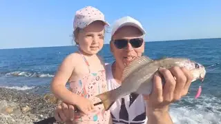 В поисках горбыля на чёрном море