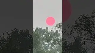 Why forest fires make red sunsets 🌅 🔥 