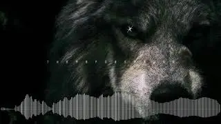 TheMrForsmajor - Wolf (Orijinal Mix)