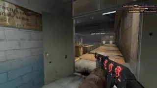 ACE! AK-47 de_train | CSGO