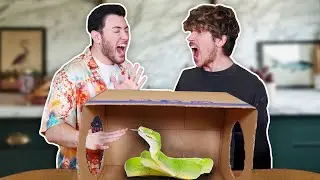 Extreme What's In the Box Challenge with MannyMUA!
