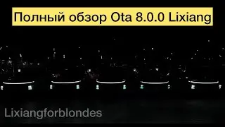 Полный обзор Ota 8.0.0 Lixiang