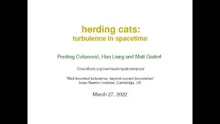 Herding cats: turbulence in spacetime