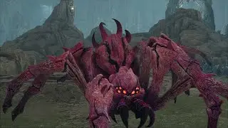Spiders