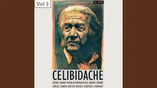 Capricorn Concerto for flute, oboe, Trumpet & Orchestra, Op. 21: II. Allegretto