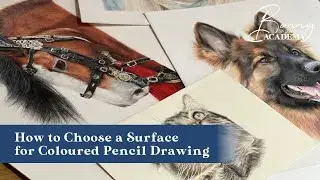 How to Choose a Surface for a Coloured Pencil Drawing | Materials Guide