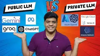 Public vs Private LLM