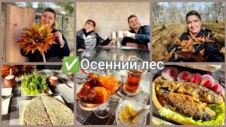 #влог✅Осенний лес