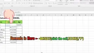 Age calculation in MS Excel !!!