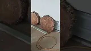 Продолжение следует.