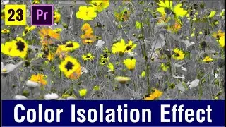 How to Isolate Color in Premiere Pro - Leave Color Effect - Class 23.