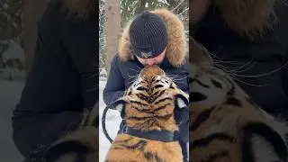 Реальная любовь ❤️ True love