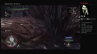 Behemoth