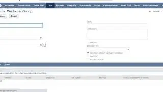 NetSuite dynamic Groups | NetSuite Solution Provider | NetSuite Implementation | NetSuite tutorial