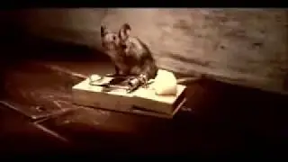 СМЕЯЛСЯ ВЕСЬ ДЕНЬ! ПОЗИТИВ ГАРАНТИРОВАН!
