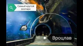 Вроцлавский зоопарк/бесплатный поход
