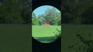 Modern Combat Optics